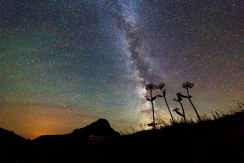 Vía Láctea sobre un cielo estrellado con siluetas de cerros y plantas en primer plano