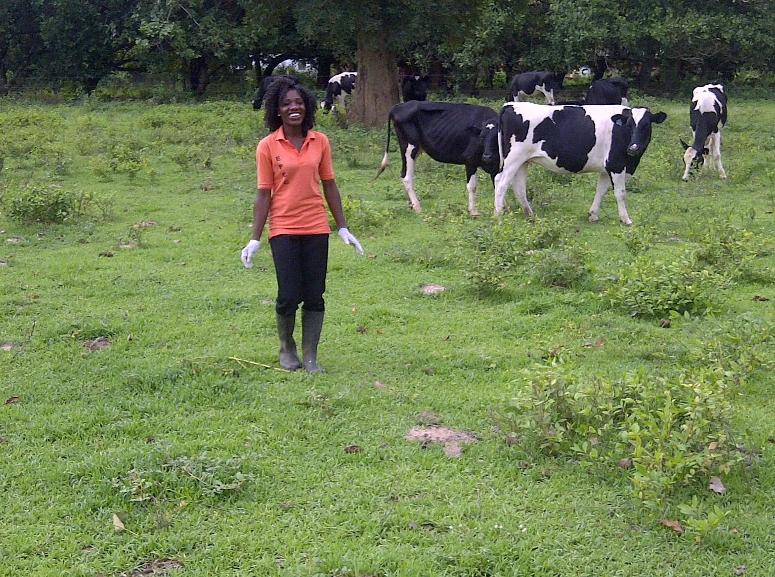 Mujer de polera naranja y botas de pie en un potrero verde con vacas lecheras al fondo